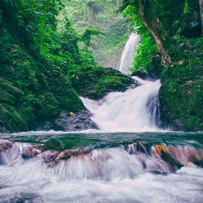 梦谷下载手机版