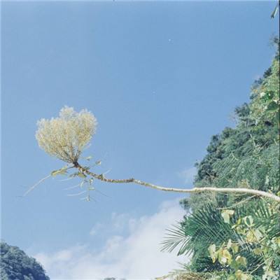 魔霸大陆h5在线玩